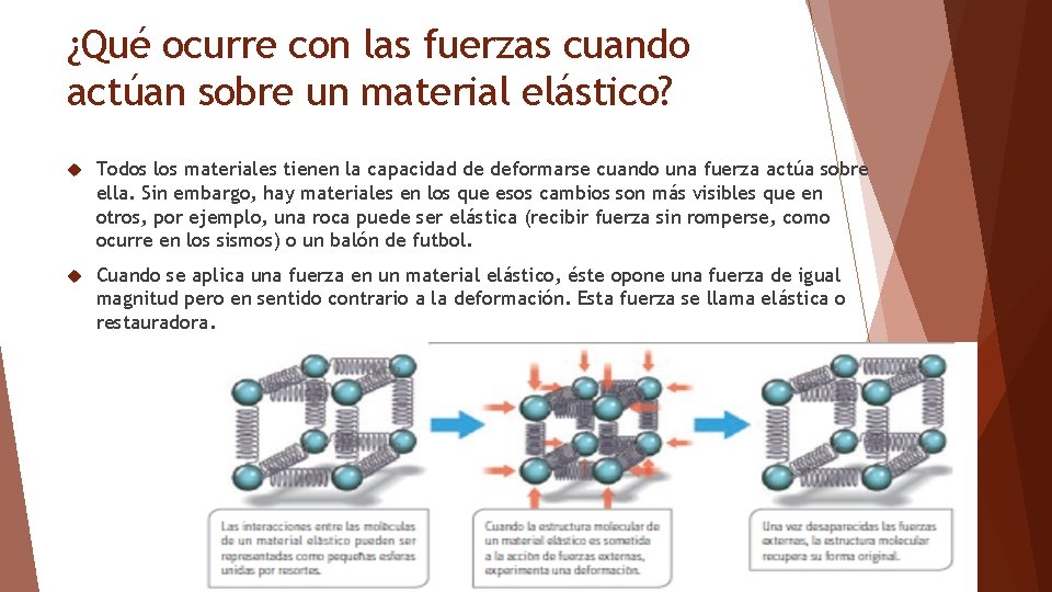 ¿Qué ocurre con las fuerzas cuando actúan sobre un material elástico? Todos los materiales