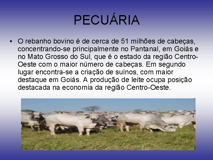 PECUÁRIA • O rebanho bovino é de cerca de 51 milhões de cabeças, concentrando-se