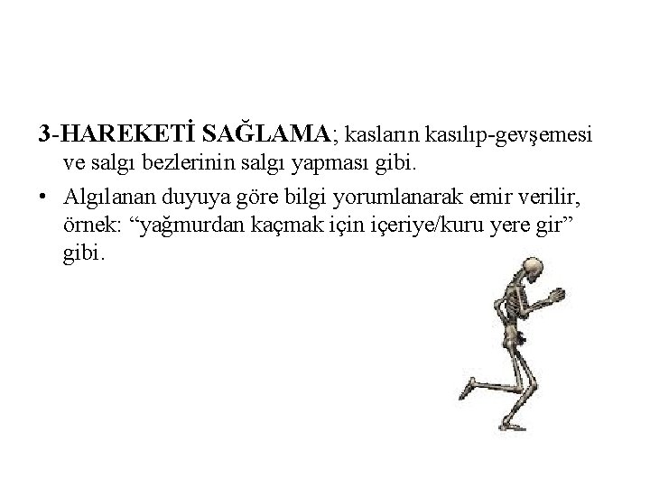 3 -HAREKETİ SAĞLAMA; kasların kasılıp-gevşemesi ve salgı bezlerinin salgı yapması gibi. • Algılanan duyuya 3 -HAREKETİ SAĞLAMA; kasların kasılıp-gevşemesi ve salgı bezlerinin salgı yapması gibi. • Algılanan duyuya