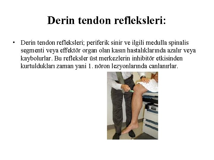Derin tendon refleksleri: • Derin tendon refleksleri; periferik sinir ve ilgili medulla spinalis segmenti Derin tendon refleksleri: • Derin tendon refleksleri; periferik sinir ve ilgili medulla spinalis segmenti