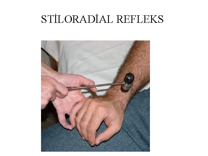 STİLORADİAL REFLEKS STİLORADİAL REFLEKS