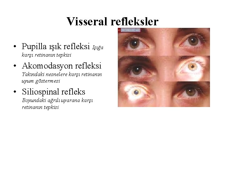 Visseral refleksler • Pupilla ışık refleksi Işığa karşı retinanın tepkisi • Akomodasyon refleksi Yakındaki Visseral refleksler • Pupilla ışık refleksi Işığa karşı retinanın tepkisi • Akomodasyon refleksi Yakındaki