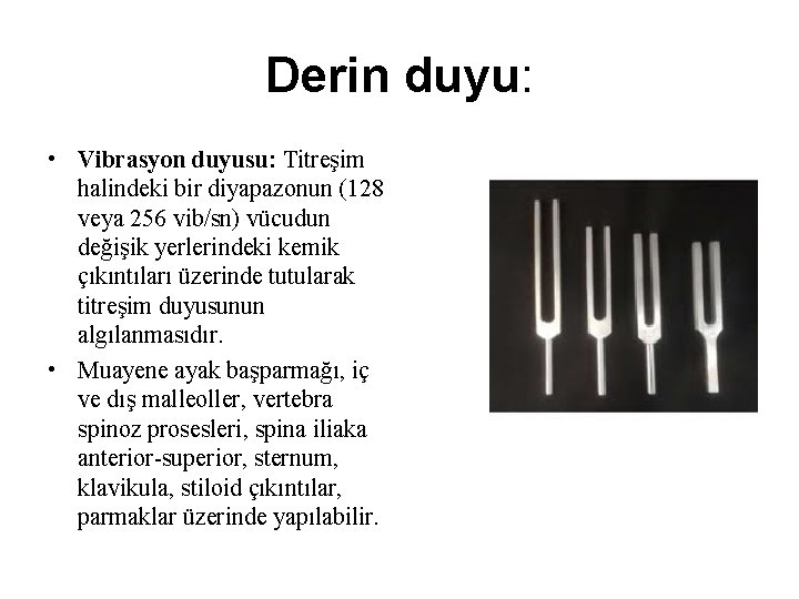 Derin duyu: • Vibrasyon duyusu: Titreşim halindeki bir diyapazonun (128 veya 256 vib/sn) vücudun Derin duyu: • Vibrasyon duyusu: Titreşim halindeki bir diyapazonun (128 veya 256 vib/sn) vücudun