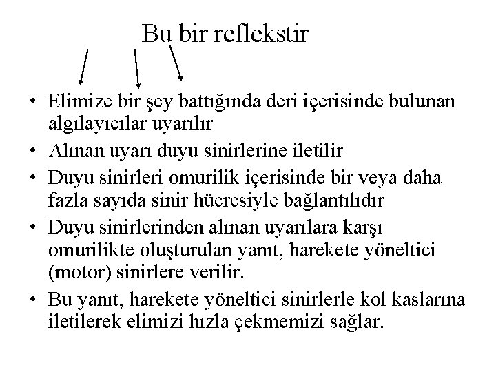Bu bir reflekstir • Elimize bir şey battığında deri içerisinde bulunan algılayıcılar uyarılır • Bu bir reflekstir • Elimize bir şey battığında deri içerisinde bulunan algılayıcılar uyarılır •