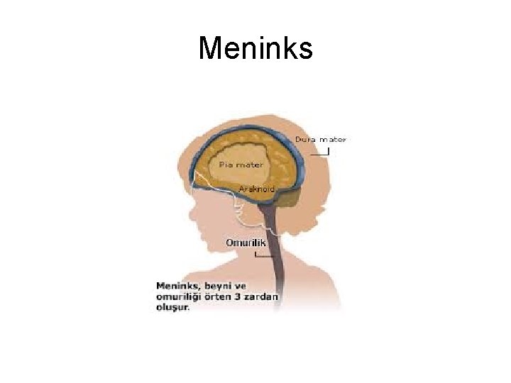 Meninks Meninks