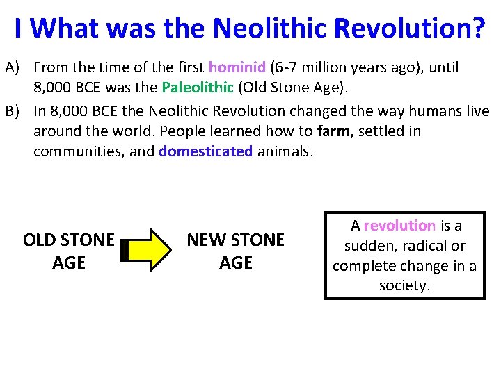 I What was the Neolithic Revolution? A) From the time of the first hominid