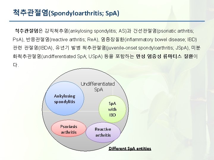 척추관절염(Spondyloarthritis; Sp. A) 척추관절염은 강직척추염(ankylosing spondylitis; AS)과 건선관절염(psoriatic arthritis; Ps. A), 반응관절염(reactive arthritis; Re.