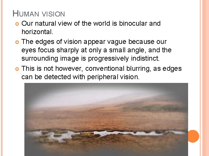 HUMAN VISION Our natural view of the world is binocular and horizontal. The edges