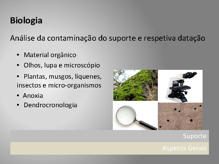 Biologia Análise da contaminação do suporte e respetiva datação • Material orgânico • Olhos,