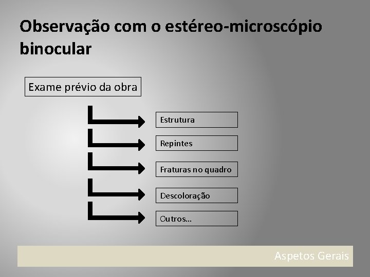 Observação com o estéreo-microscópio binocular Exame prévio da obra Estrutura Repintes Fraturas no quadro