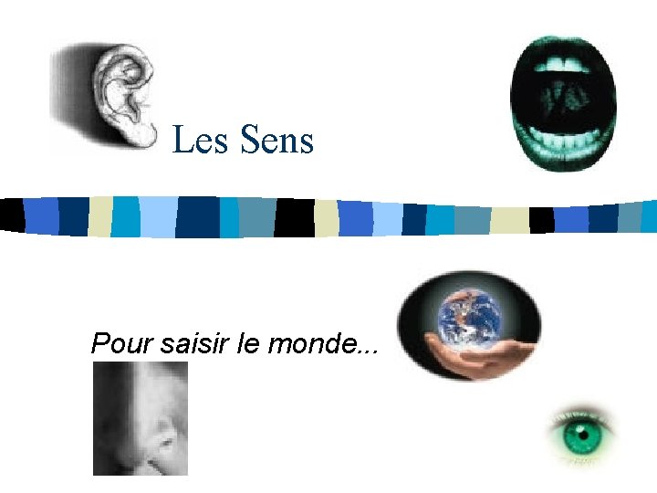  Les Sens Pour saisir le monde. . . 