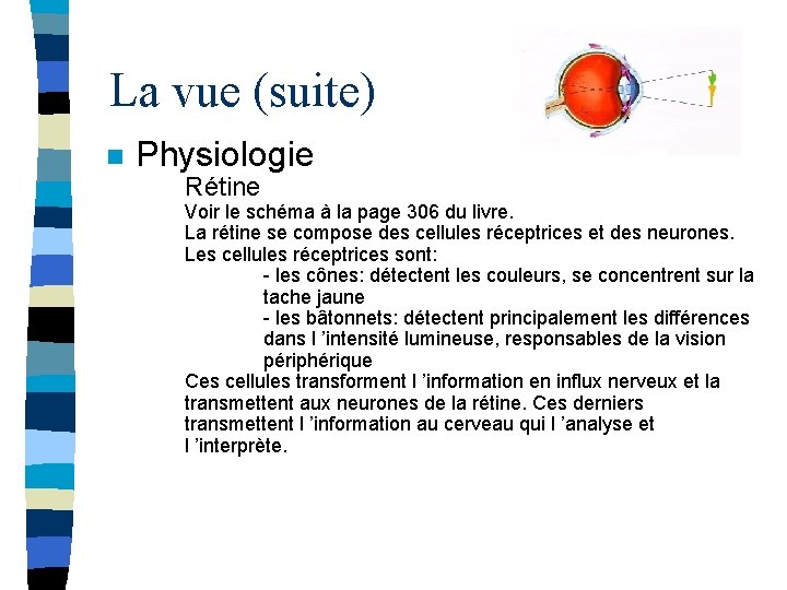 La vue (suite) n Physiologie Rétine Voir le schéma à la page 306 du
