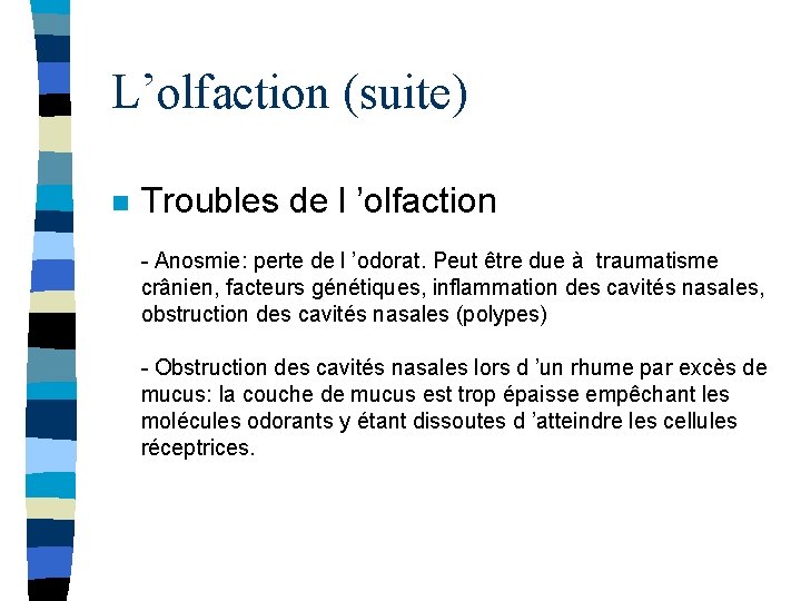 L’olfaction (suite) n Troubles de l ’olfaction - Anosmie: perte de l ’odorat. Peut