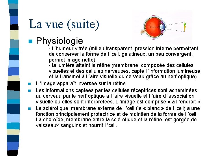 La vue (suite) n n Physiologie - l ’humeur vitrée (milieu transparent, pression interne