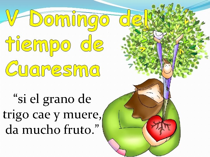 V Domingo del tiempo de Cuaresma “si el grano de trigo cae y muere,