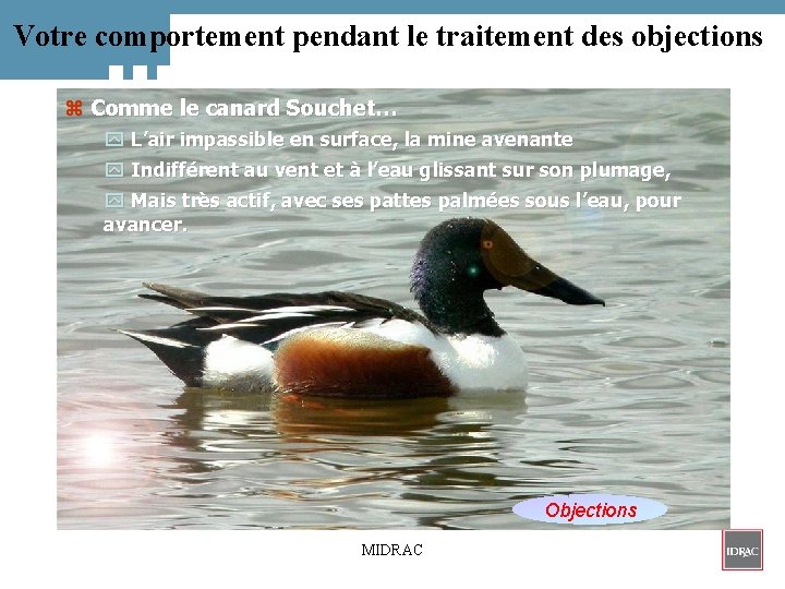 Votre comportement pendant le traitement des objections z Comme le canard Souchet… y L’air