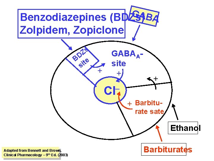 G ABA Benzodiazepines (BDZs) Zolpidem, Zopiclone s Z BD te si + GABAAsite +