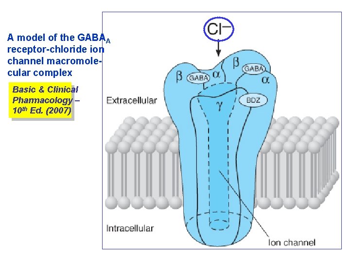 A model of the GABAA receptor-chloride ion channel macromolecular complex Basic & Clinical Pharmacology