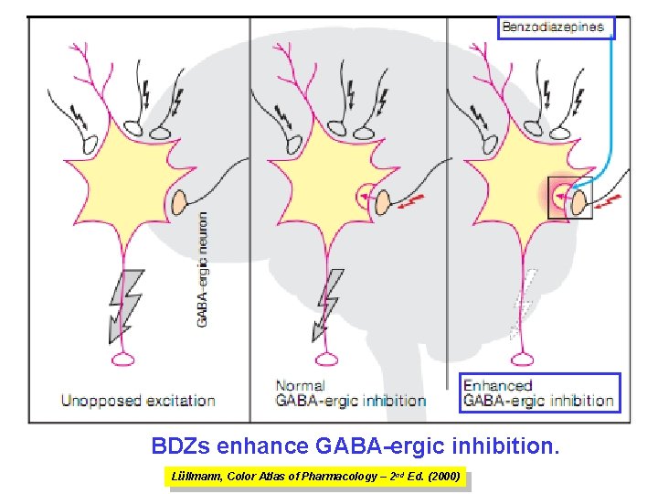 BDZs enhance GABA-ergic inhibition. Lüllmann, Color Atlas of Pharmacology – 2 nd Ed. (2000)