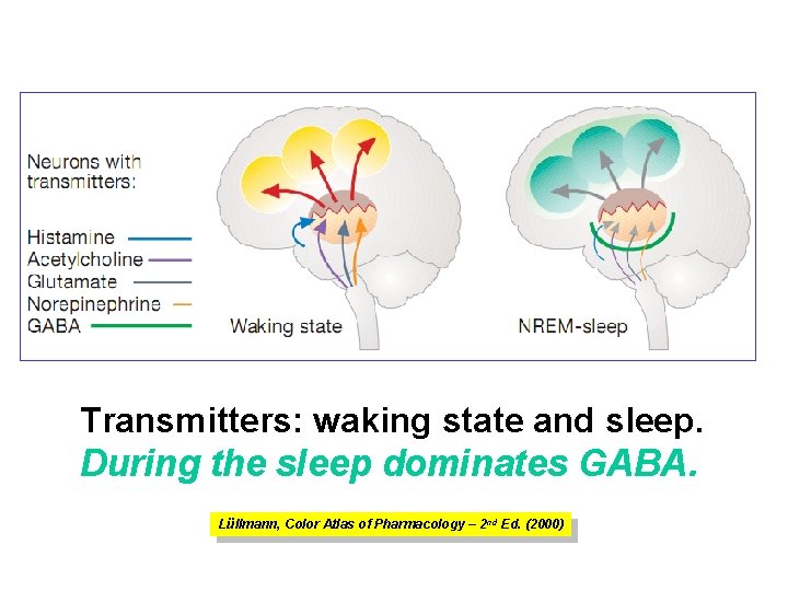Transmitters: waking state and sleep. During the sleep dominates GABA. Lüllmann, Color Atlas of