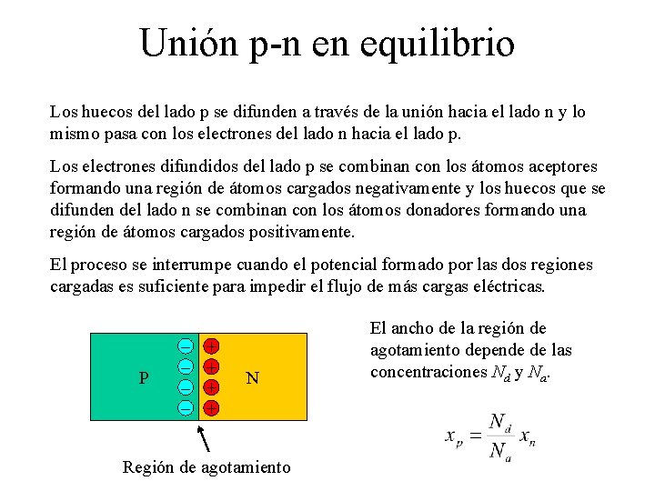 Unión p-n en equilibrio Los huecos del lado p se difunden a través de