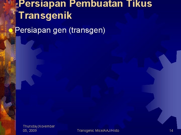 Persiapan Pembuatan Tikus Transgenik ® Persiapan gen (transgen) Thursday, November 05, 2009 Transgenic Mice/AAJ/Histo