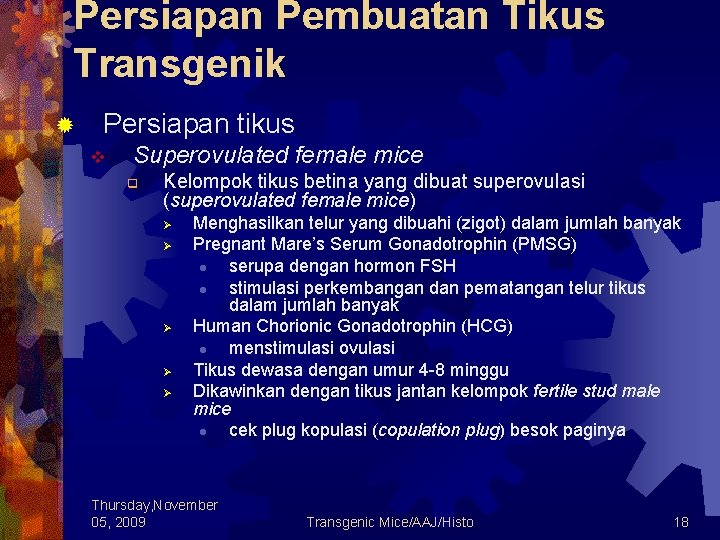 Persiapan Pembuatan Tikus Transgenik ® Persiapan tikus v Superovulated female mice q Kelompok tikus