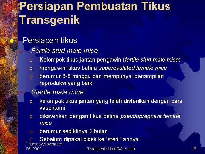 Persiapan Pembuatan Tikus Transgenik ® Persiapan tikus v Fertile stud male mice q q