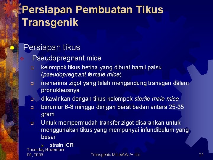 Persiapan Pembuatan Tikus Transgenik ® Persiapan tikus v Pseudopregnant mice q q q kelompok