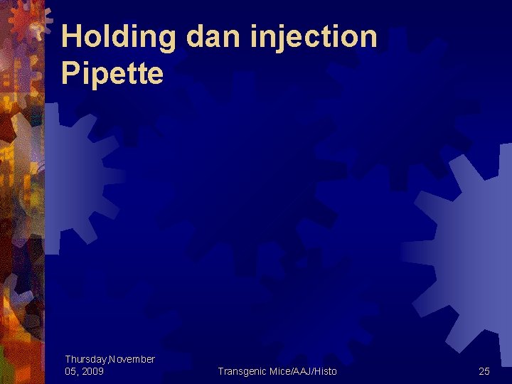 Holding dan injection Pipette Thursday, November 05, 2009 Transgenic Mice/AAJ/Histo 25 