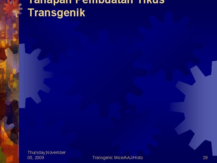 Tahapan Pembuatan Tikus Transgenik Thursday, November 05, 2009 Transgenic Mice/AAJ/Histo 28 