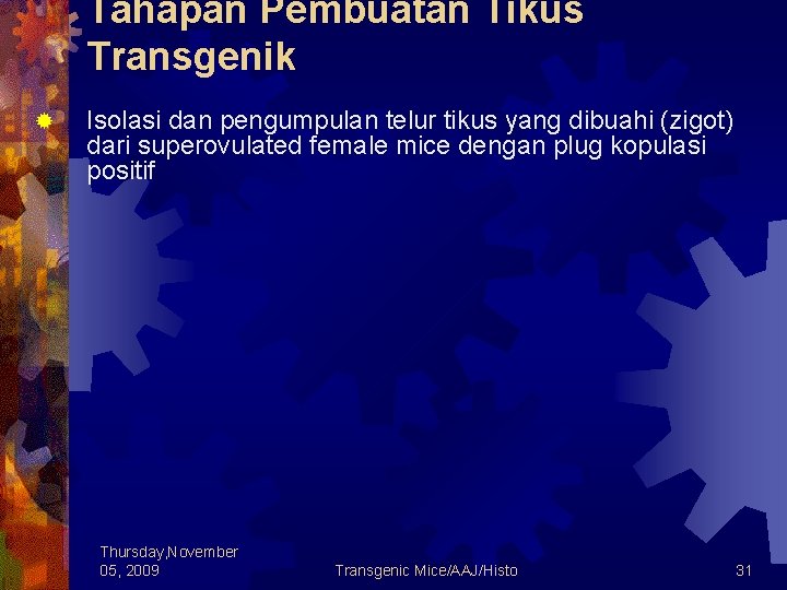 Tahapan Pembuatan Tikus Transgenik ® Isolasi dan pengumpulan telur tikus yang dibuahi (zigot) dari