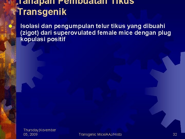 Tahapan Pembuatan Tikus Transgenik ® Isolasi dan pengumpulan telur tikus yang dibuahi (zigot) dari