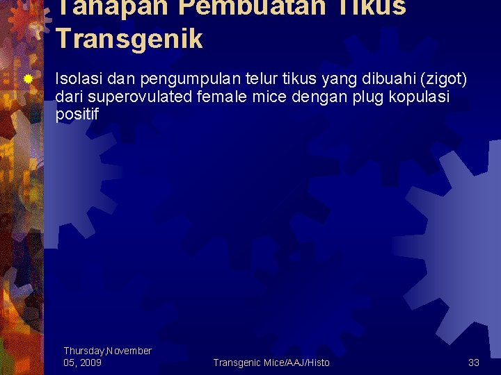 Tahapan Pembuatan Tikus Transgenik ® Isolasi dan pengumpulan telur tikus yang dibuahi (zigot) dari