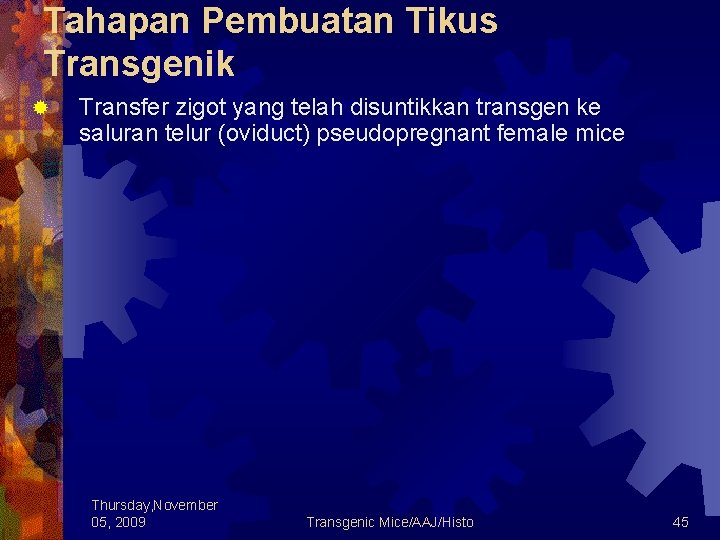 Tahapan Pembuatan Tikus Transgenik ® Transfer zigot yang telah disuntikkan transgen ke saluran telur