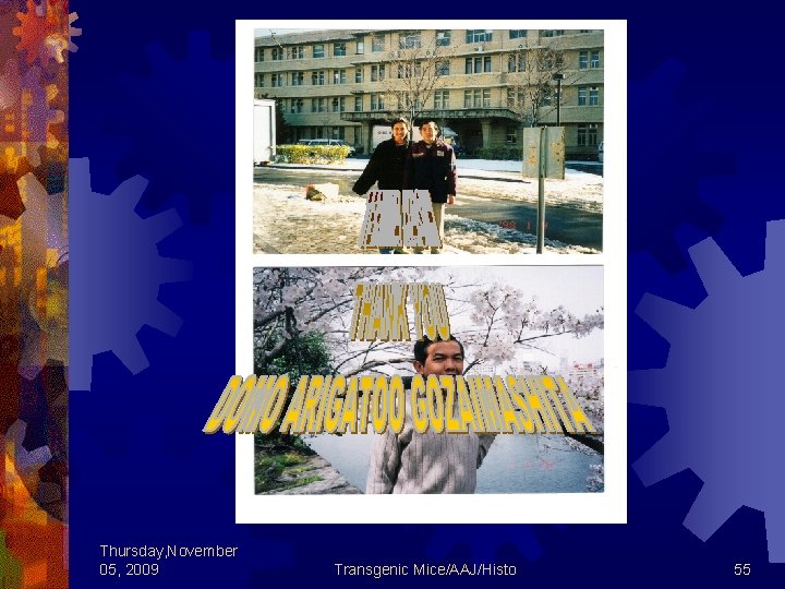 Thursday, November 05, 2009 Transgenic Mice/AAJ/Histo 55 