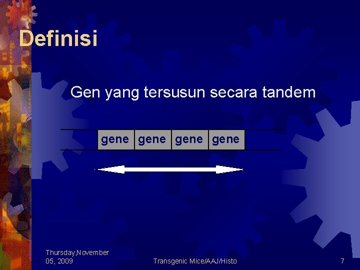Definisi Gen yang tersusun secara tandem gene Thursday, November 05, 2009 Transgenic Mice/AAJ/Histo 7