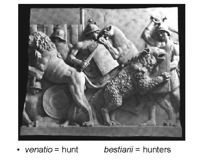  • venatio = hunt bestiarii = hunters 