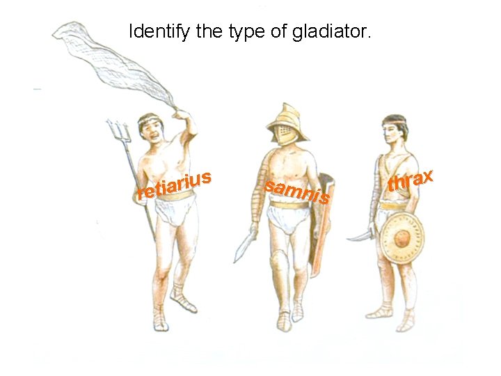 Identify the type of gladiator. s u i r a i ret samn is