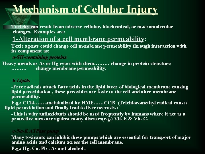 Mechanism of Cellular Injury Toxicity can result from adverse cellular, biochemical, or macromolecular changes.