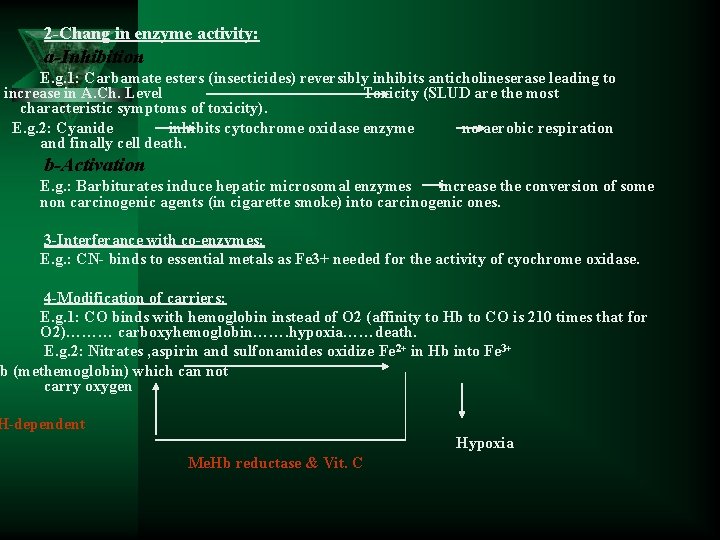 2 -Chang in enzyme activity: a-Inhibition E. g. 1: Carbamate esters (insecticides) reversibly inhibits