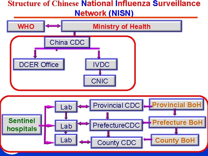 Structure of Chinese National Influenza Surveillance Network (NISN) Ministry of Health WHO China CDC