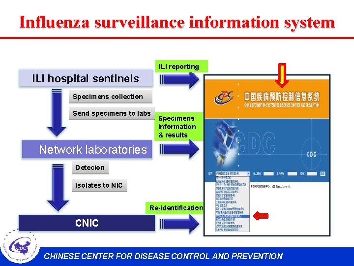 Influenza surveillance information system ILI reporting ILI hospital sentinels Specimens collection Send specimens to