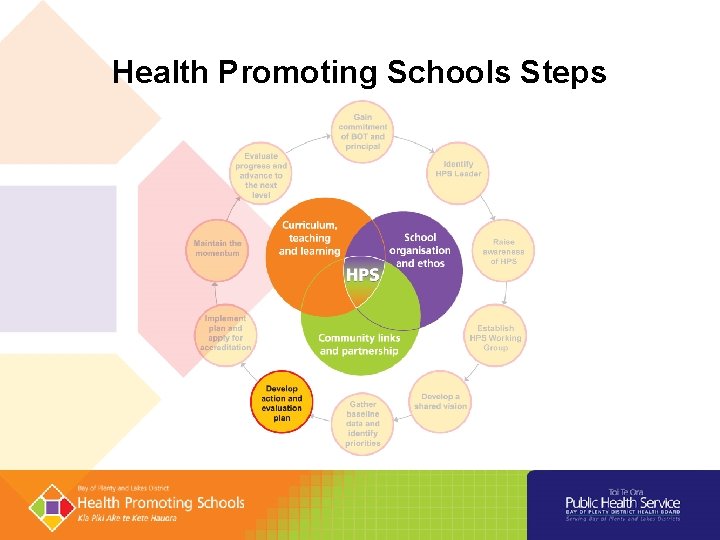 Health Promoting Schools Steps 