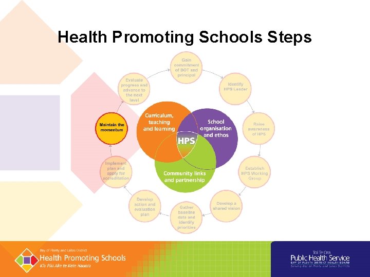 Health Promoting Schools Steps 