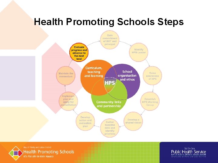 Health Promoting Schools Steps Health Promoting Schools Steps