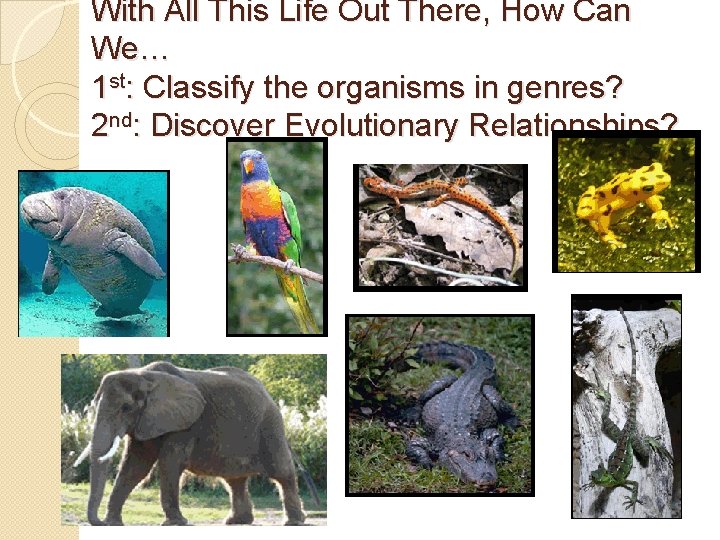 With All This Life Out There, How Can We… 1 st: Classify the organisms