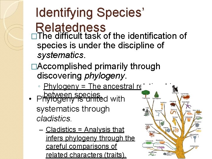 Identifying Species’ Relatedness �The difficult task of the identification of species is under the