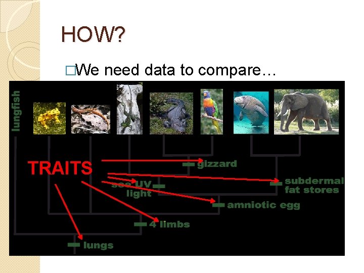 HOW? �We TRAITS need data to compare… 