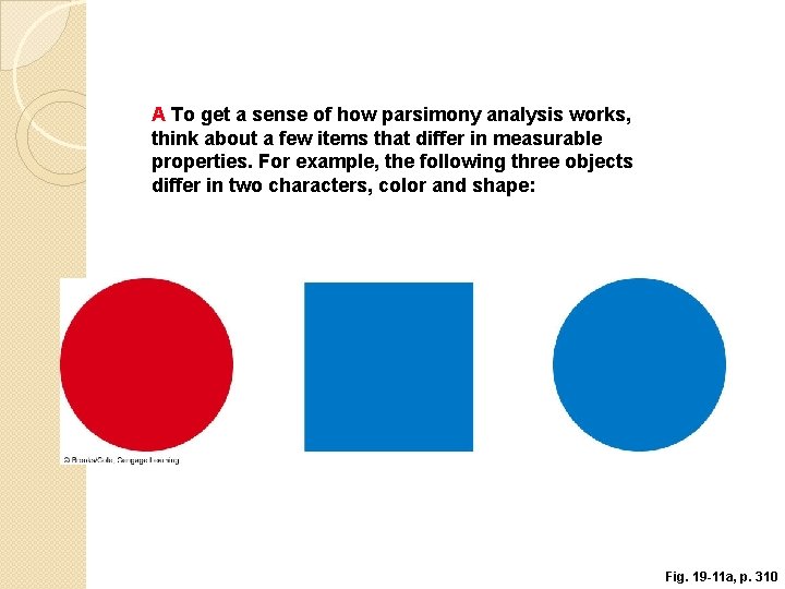 A To get a sense of how parsimony analysis works, think about a few